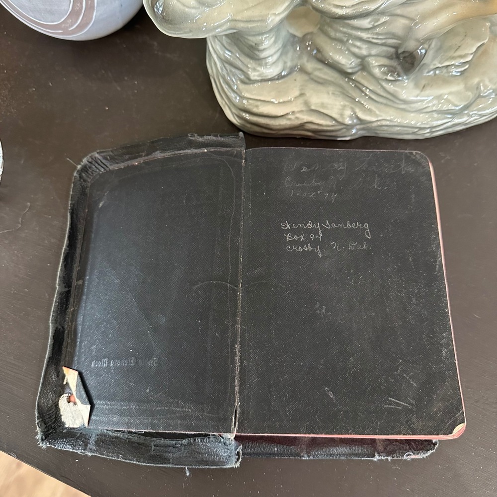1929 Thomas Nelson & Sons Holy Bible American Standard Version 1901 Illustrated